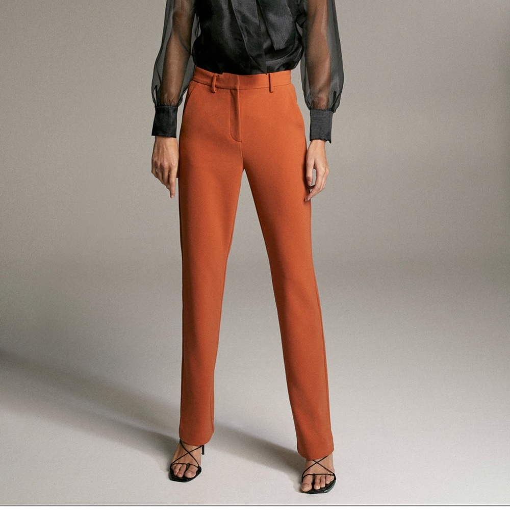 Aritzia trousers